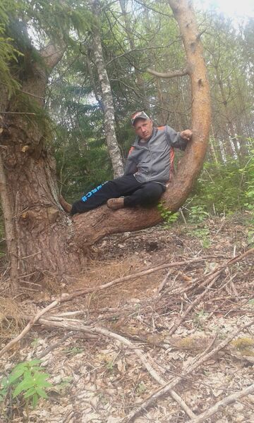  ,   Pasa, 45 ,     , c 