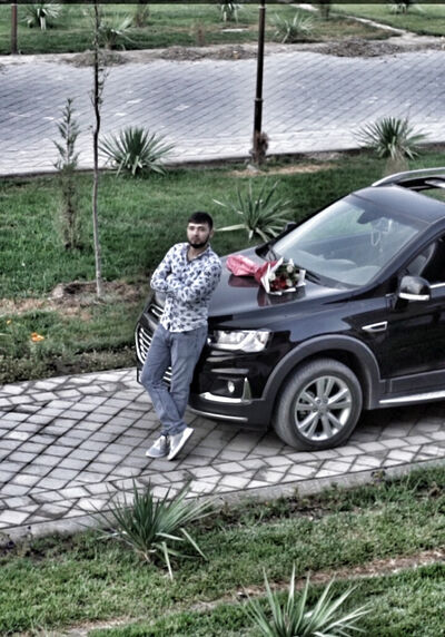 -,   Mavket, 31 ,   ,   