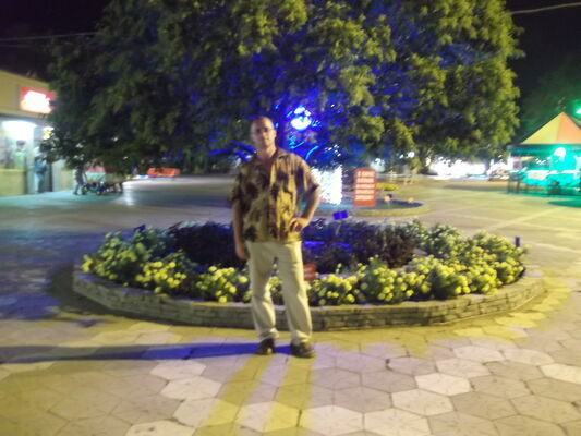  -,   , 51 ,   ,   , c 