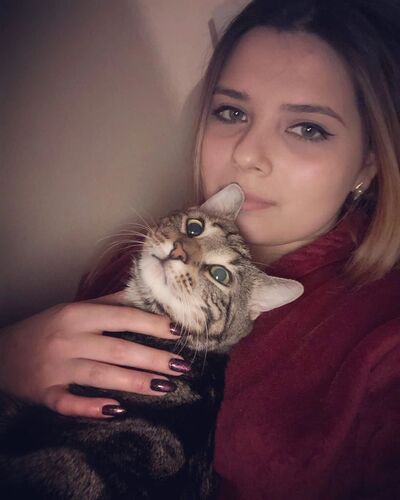  -,   , 28 ,   ,   