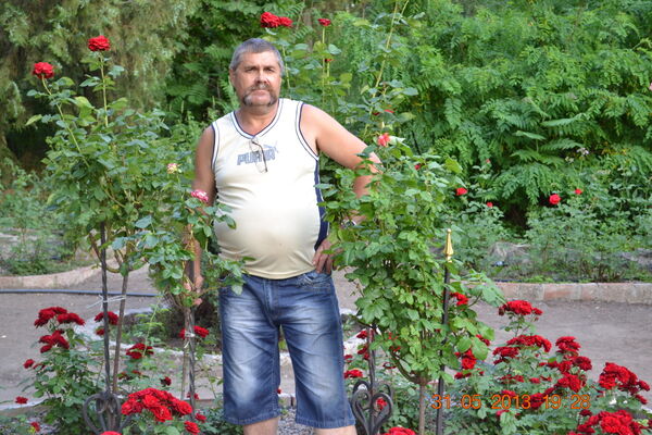  ,   , 67 ,   