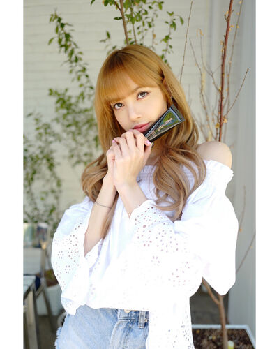 ,   Lalisa, 28 ,   ,   , c 