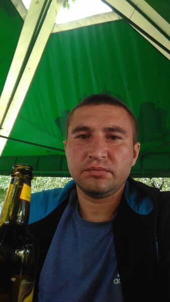  ,   WolF, 40 ,   ,   , c 