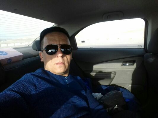  ,   Shef shef, 41 ,   ,   