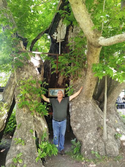  ,   Amran, 42 ,   ,   , 