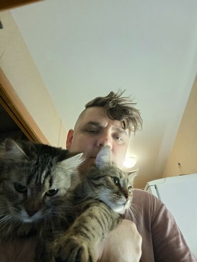  ,   , 44 ,   ,   