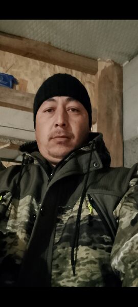  --,   , 37 ,   ,   