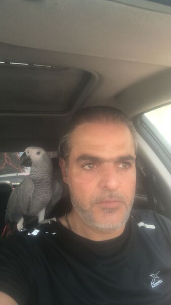  ,   Kaled, 49 ,   c 