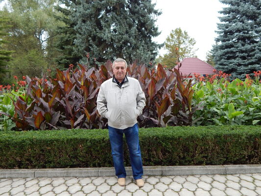  ,   , 67 ,   ,   