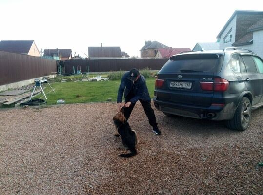  ,   , 46 ,   ,   , c 