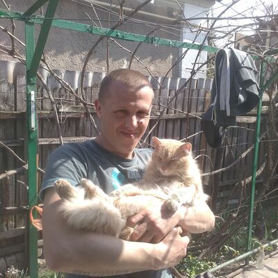  ,   , 41 ,   