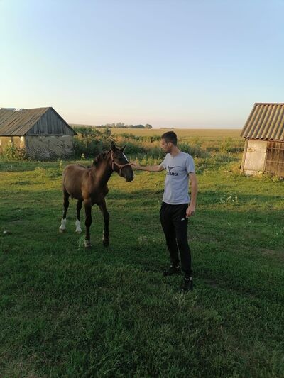  ,   , 34 ,   ,   , c , 