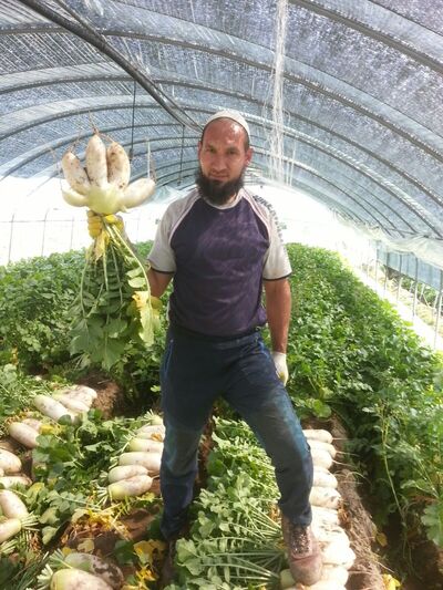  ,   Gaziz, 48 ,   ,   , c 