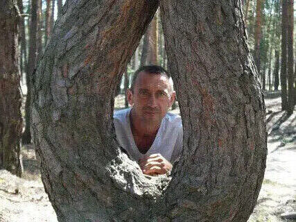  ,   , 53 ,   ,   , 