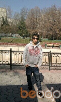 ���������� ������, ���� ������� SHURIK, 31 ���, ������������ 