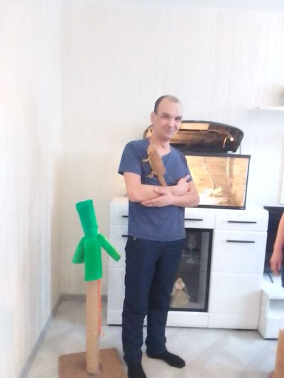  ,   , 41 ,   ,   