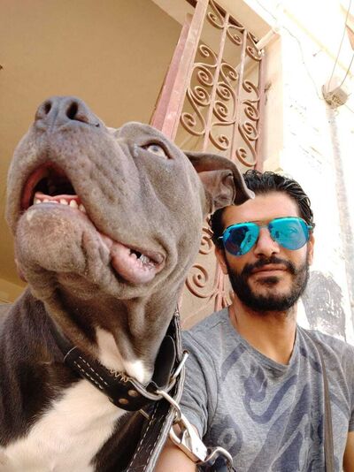  ,   Sayed, 42 ,   ,   , c , 