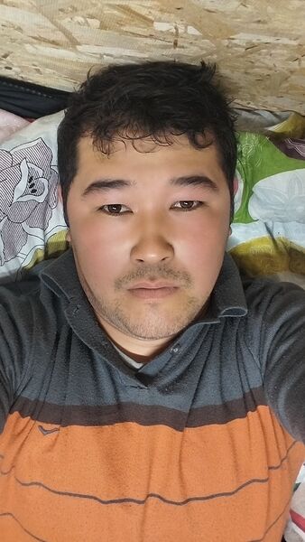  ,   Kabylan, 33 ,   ,   , c 