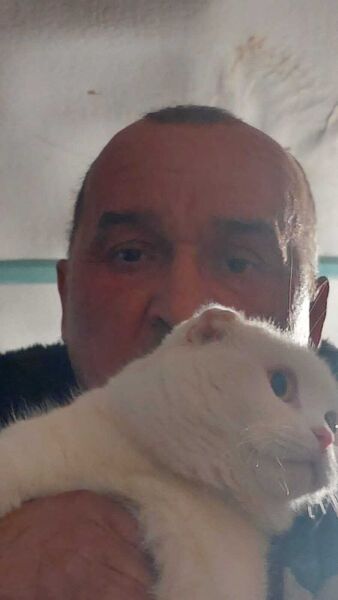  ,   , 52 ,   ,   