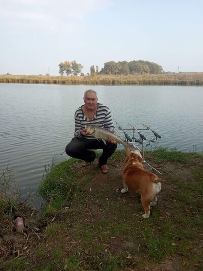  ,   , 59 ,   ,   