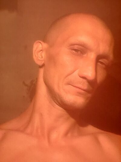  ,   STAS, 42 ,   ,   , c 