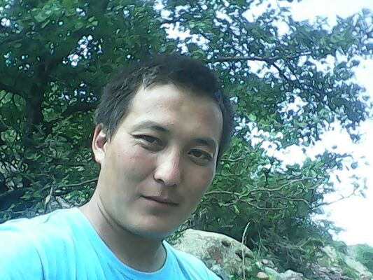  -,   , 38 ,   