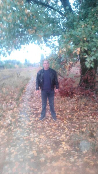  ,   , 56 ,  