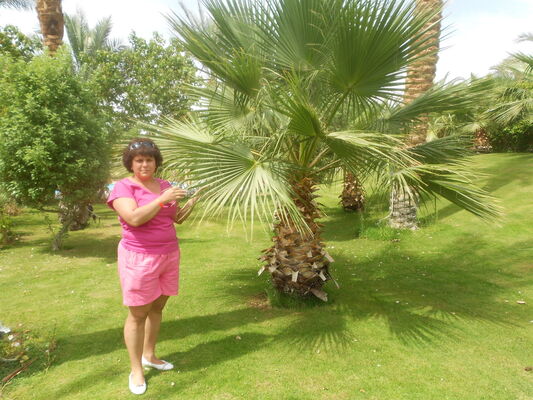  ,   , 51 ,   ,   , c 