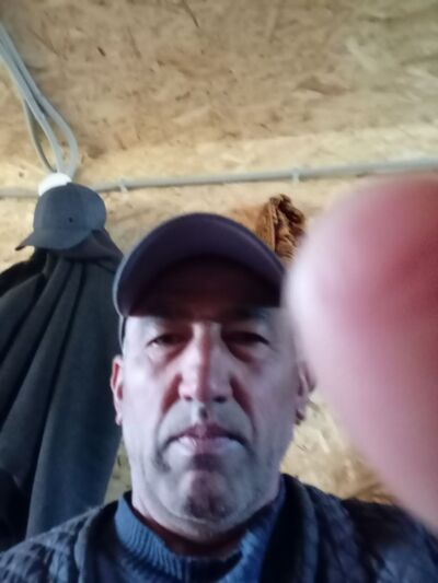  ,   , 49 ,   ,   