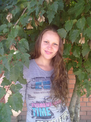  53516428  , 33 ,    -