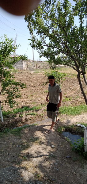  ,   Azik, 48 ,   ,   