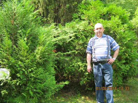  ,   , 62 ,  