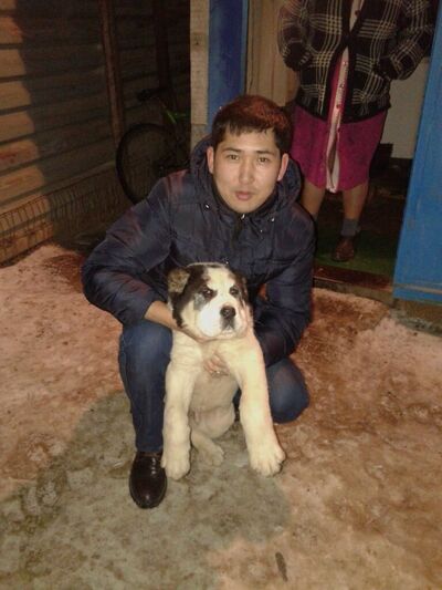  ,   , 37 ,   ,   