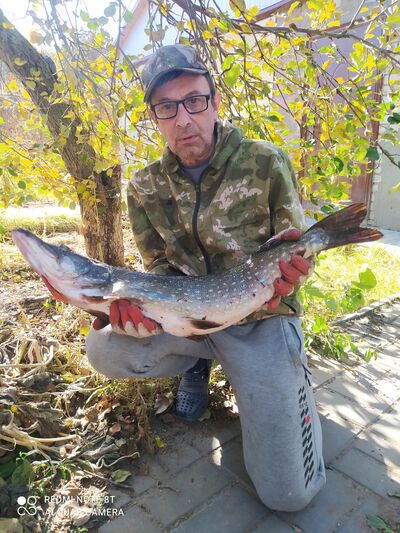  ,   , 58 ,   ,   , c 