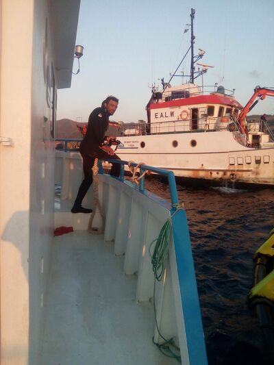  Algiers,   Amine, 35 ,   ,   , c 