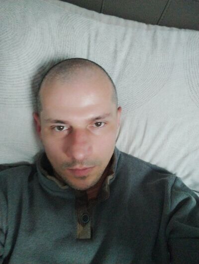  ?,   Gorilla, 40 ,   ,   