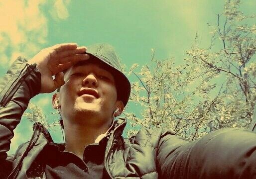  ,   Yersin, 29 ,   ,   , c 