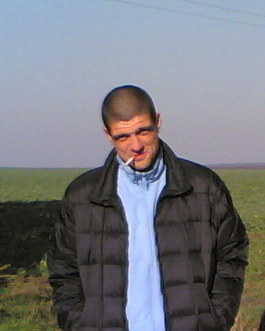  31677658  , 44 ,    