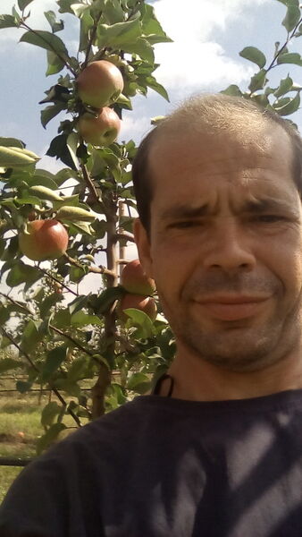  ,   , 44 ,   ,   , c 