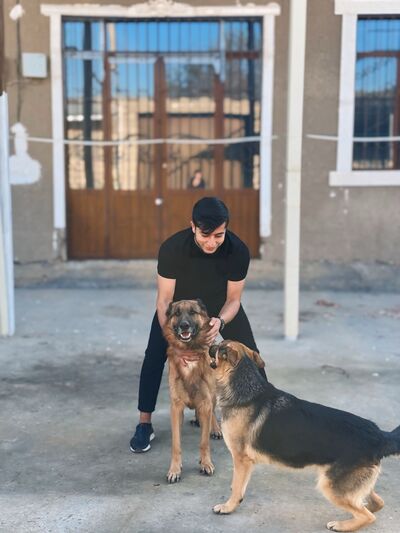  ,   Sherxon, 26 ,   ,   