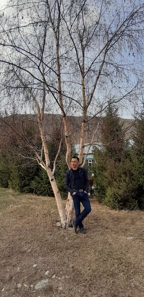  ,   , 37 ,     , c 