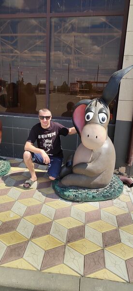  ,   Vladimir, 37 ,     , c 