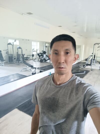  ,   Ermek, 41 ,   ,   