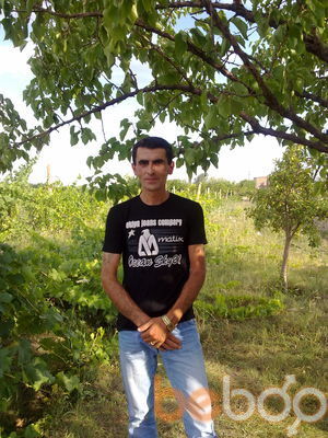  ,   Vache, 48 ,   , 