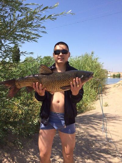  ,   Rom, 40 ,     , c 