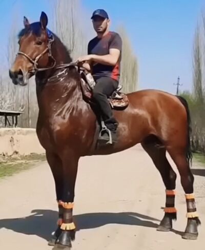  Lambeth,   Smail, 40 ,   ,   