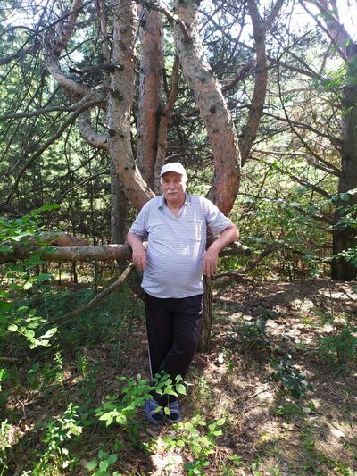  ,   , 72 ,   ,   