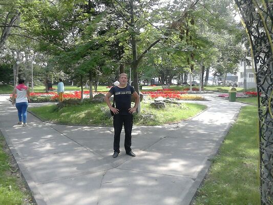  -,   , 43 ,   ,   , c 