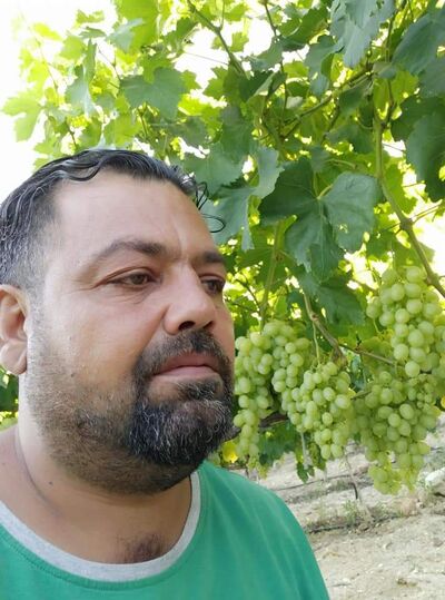  -,   Mehmet, 31 ,   ,   