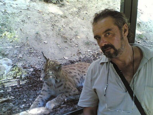  Venafro,   Doctor55, 62 ,  